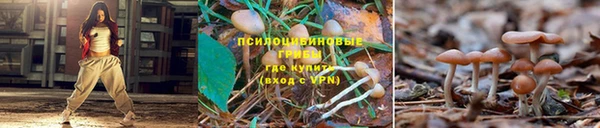 jwh Балахна